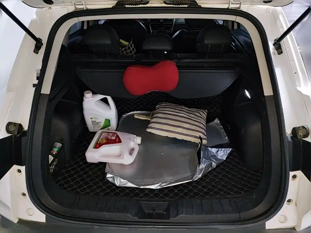Borgward BX5 — миниатюра 24