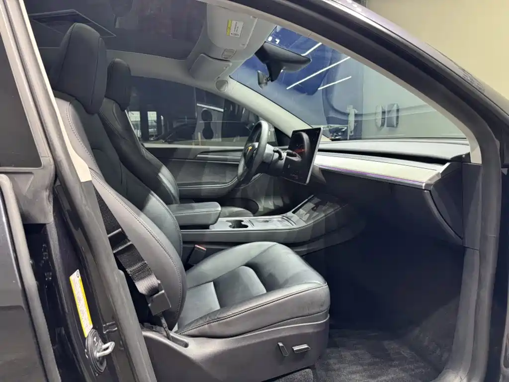 Tesla Model Y — миниатюра 16