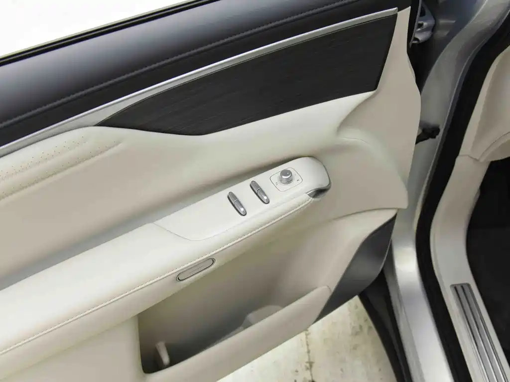 Buick Electra Encasa — миниатюра 5