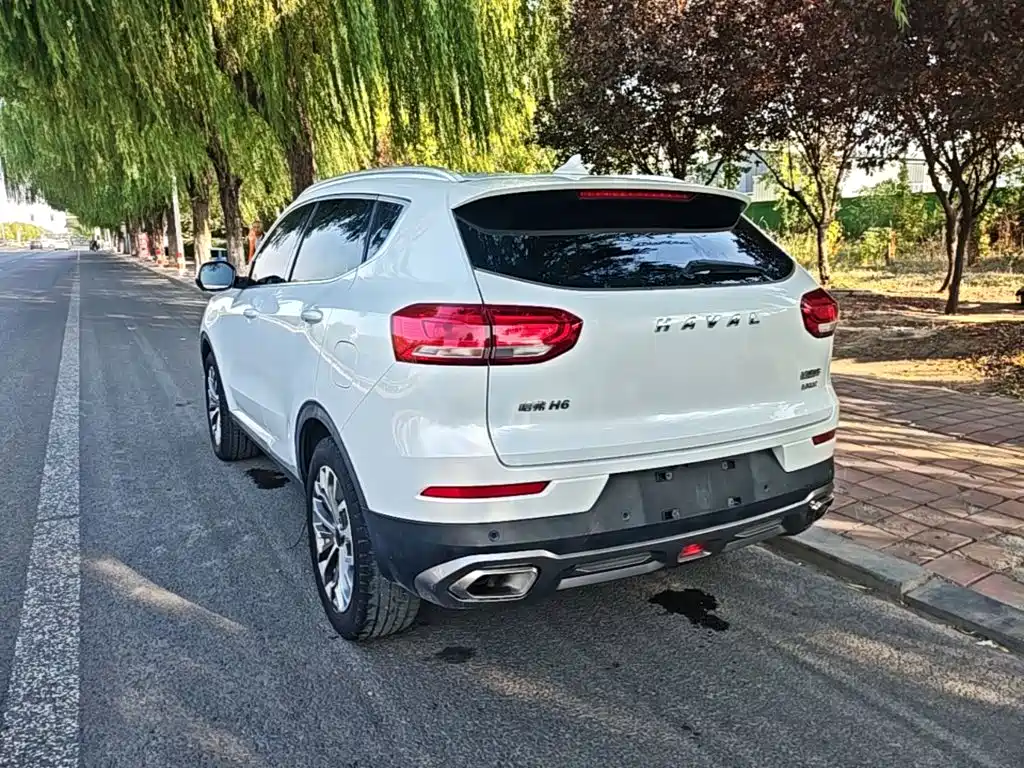 Haval H6 — миниатюра 5