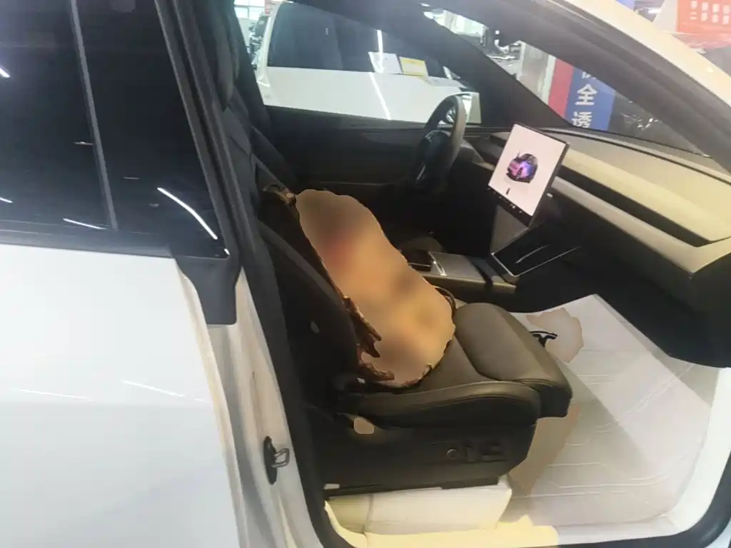 Tesla Model Y L — миниатюра 25