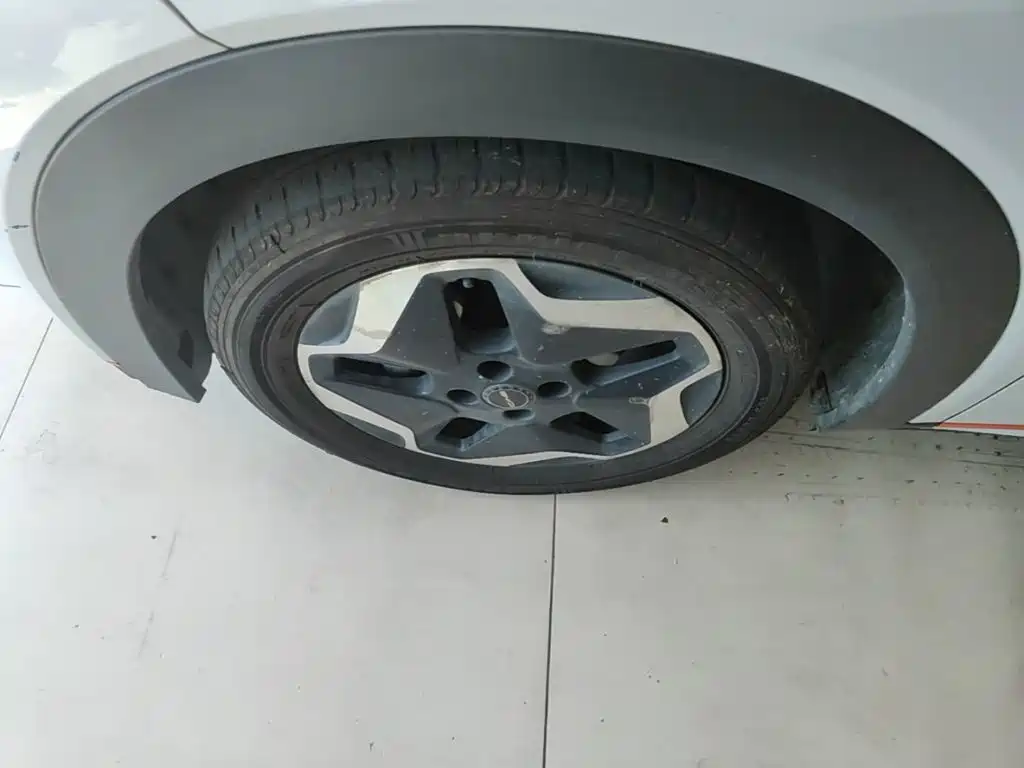 BYD Dolphin — миниатюра 23