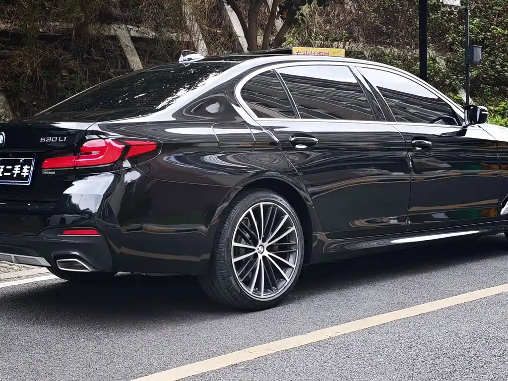 BMW 5 Series 5 2021 530Li Lead Luxury