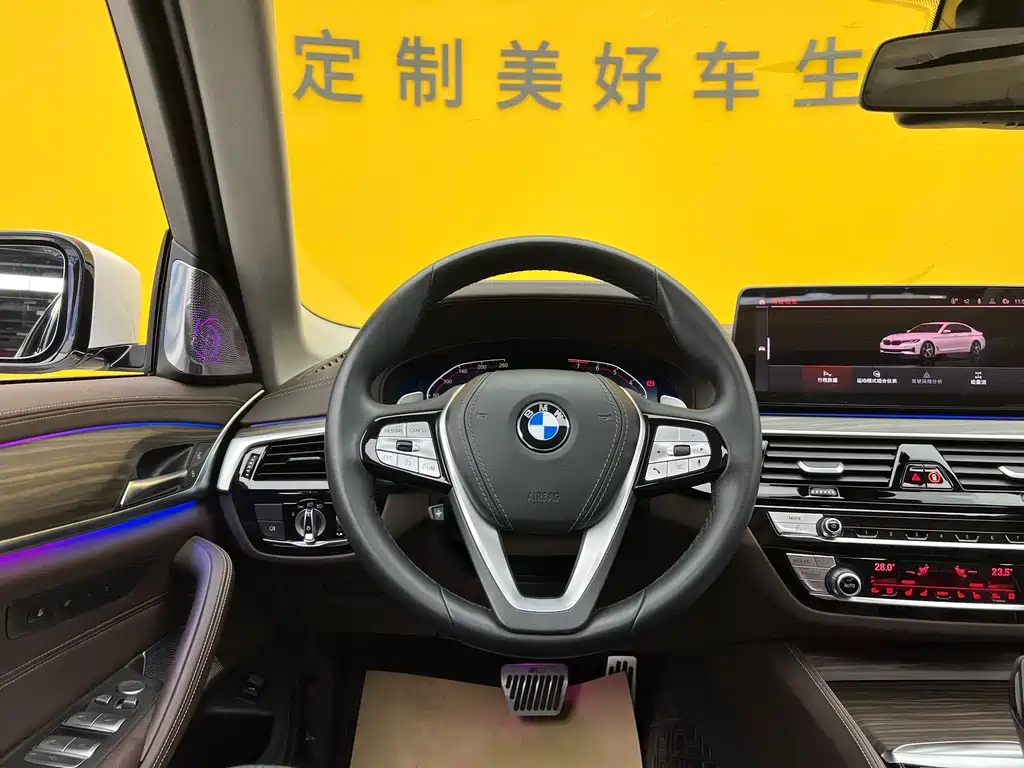 BMW 5 Series 5 2022 530Li Premium Luxury
