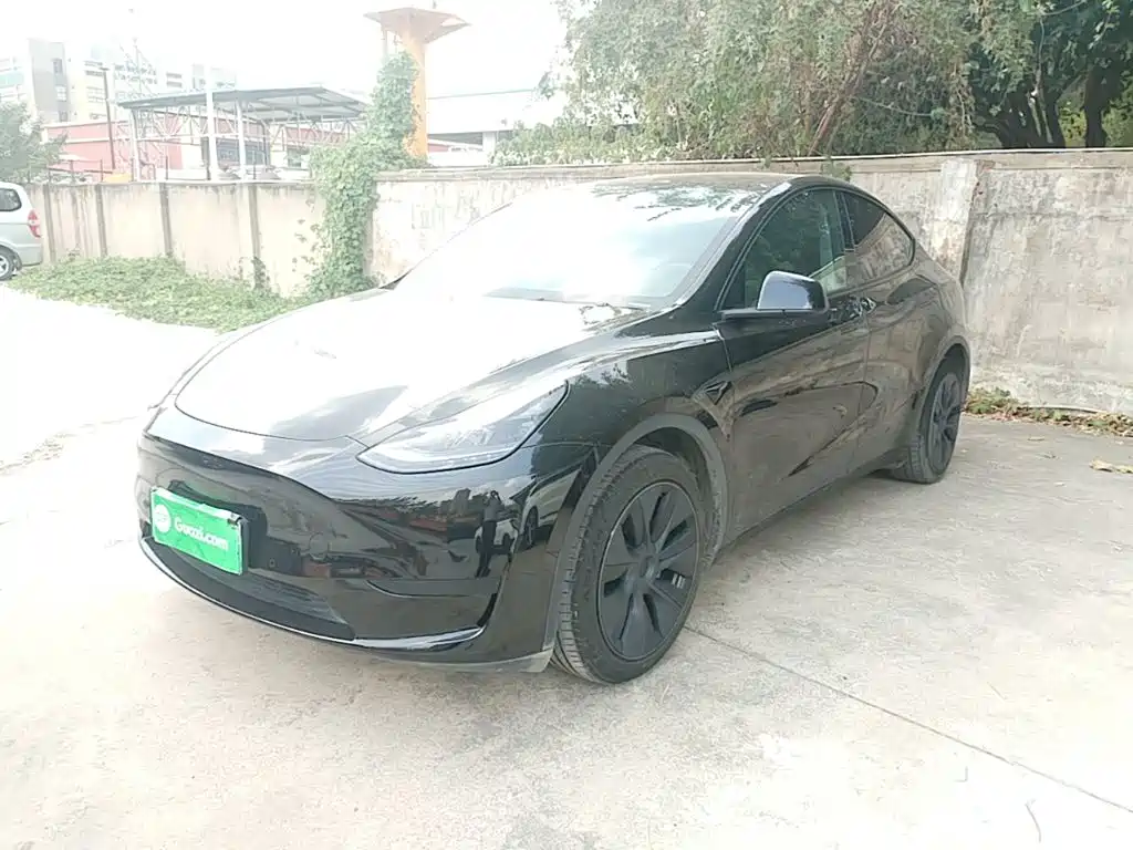 Tesla Model Y — миниатюра 2