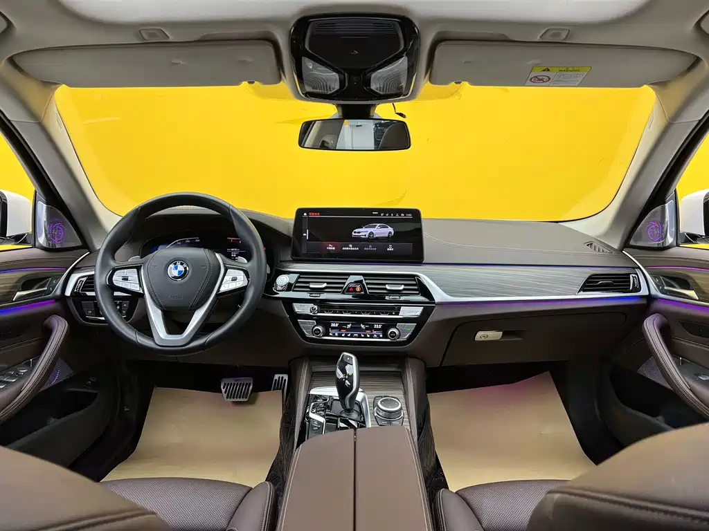 BMW 5 Series 5 2022 530Li Premium Luxury