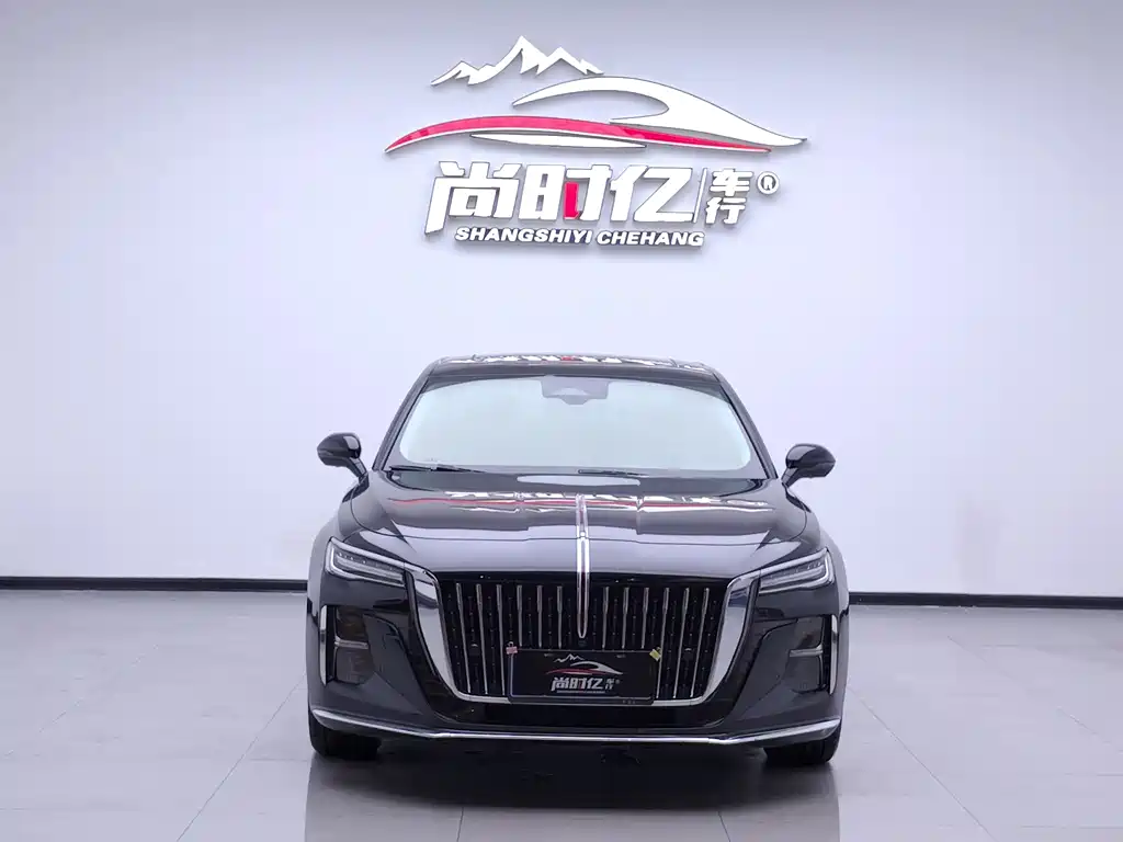 Hongqi H5 2024 2.0T AT
