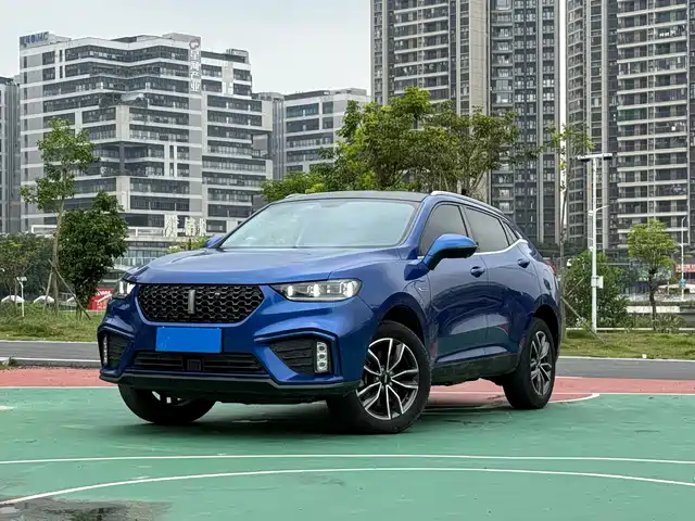 2020 Wey VV5