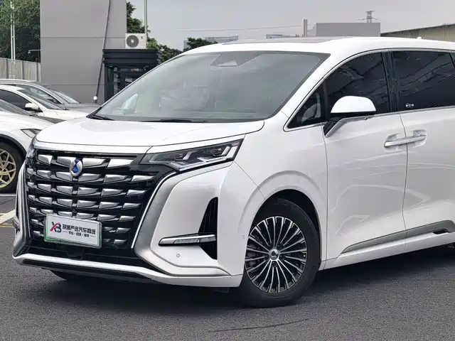 Denza D9