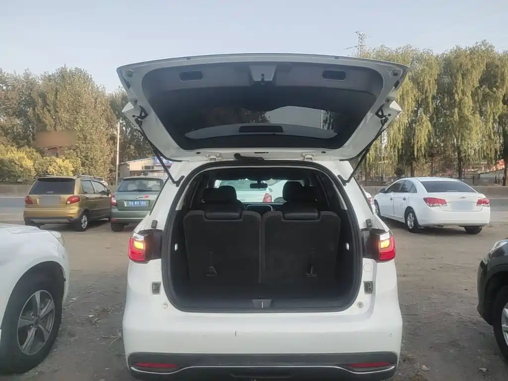 BYD MAX — миниатюра 19