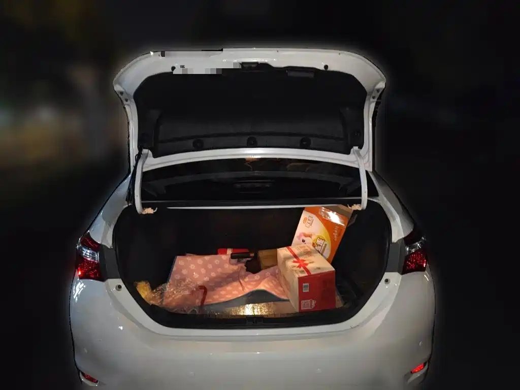Toyota Corolla — миниатюра 20