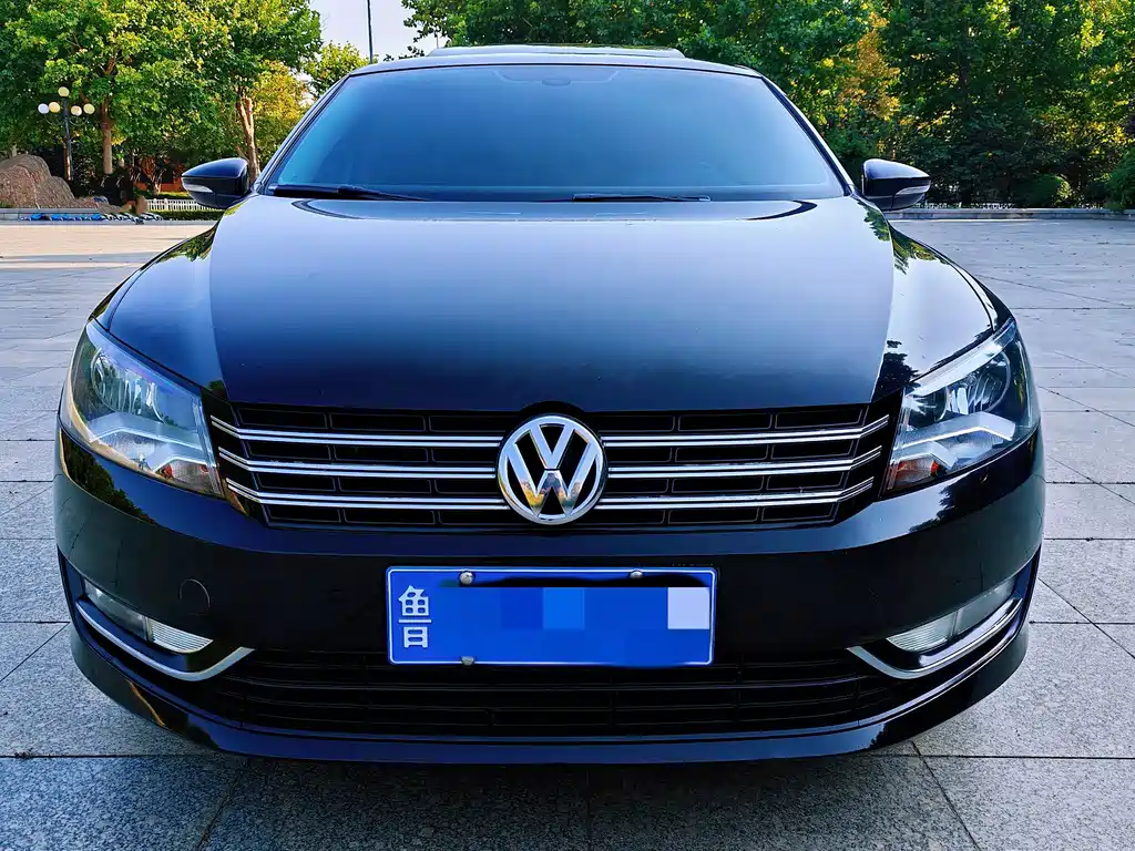 Volkswagen Passat — миниатюра 2