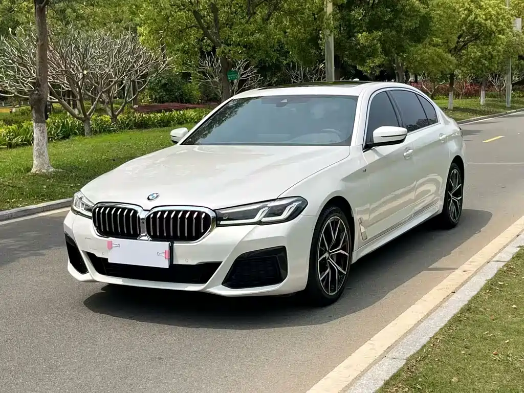 BMW 5 Series 2021