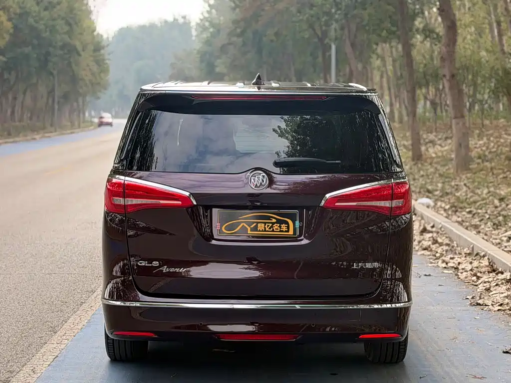 Buick GL8 — миниатюра 5