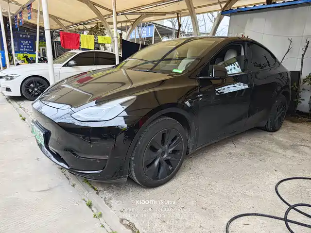 TESLA MODEL Y 2021