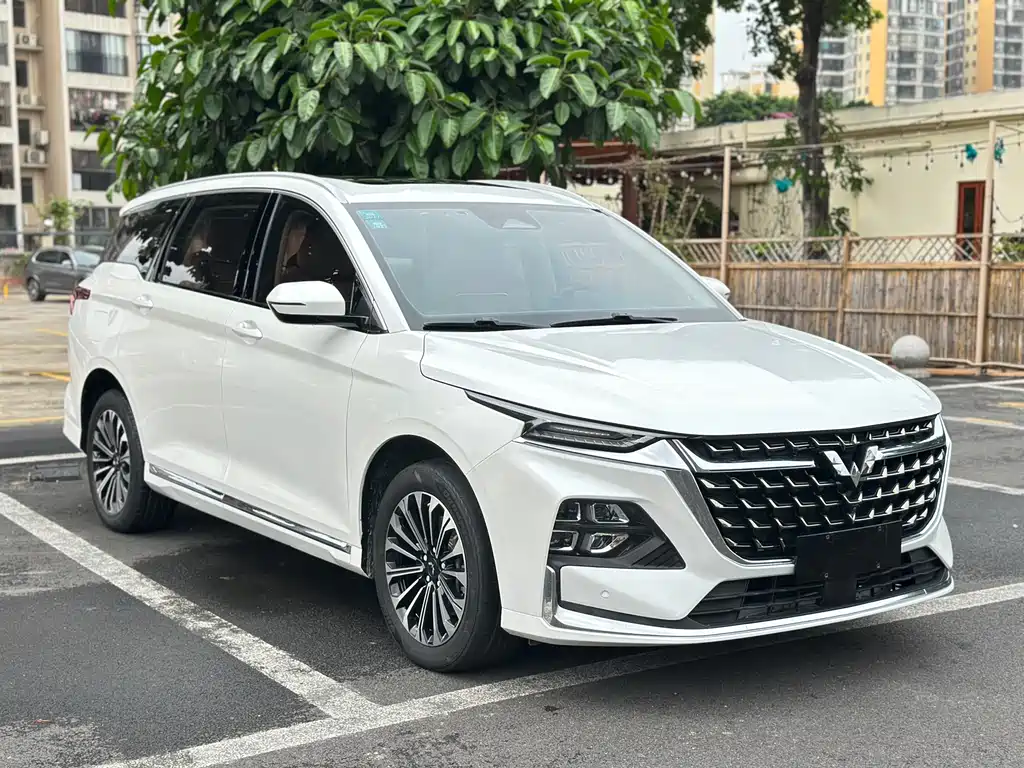WULING WULING CAPGEMINI