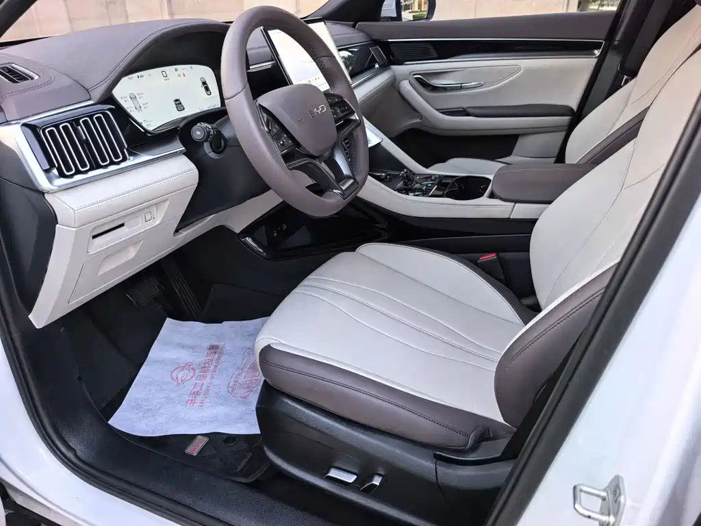 BYD PLUS New Energy — миниатюра 7