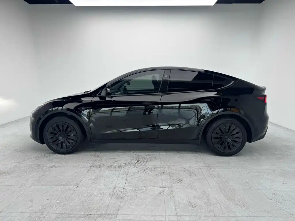 Tesla Model Y — миниатюра 2