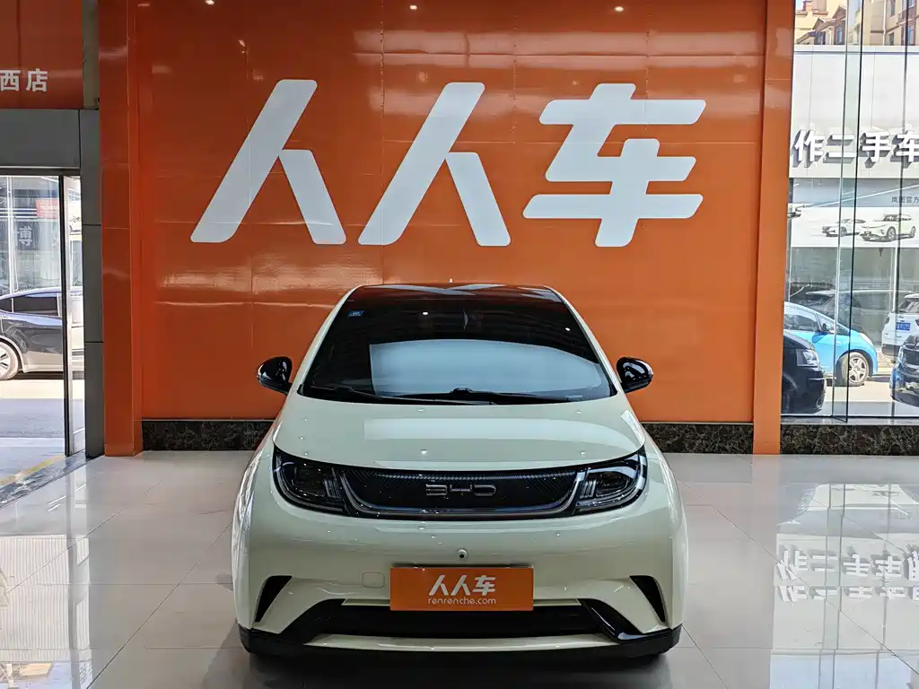BYD Dolphin — миниатюра 2