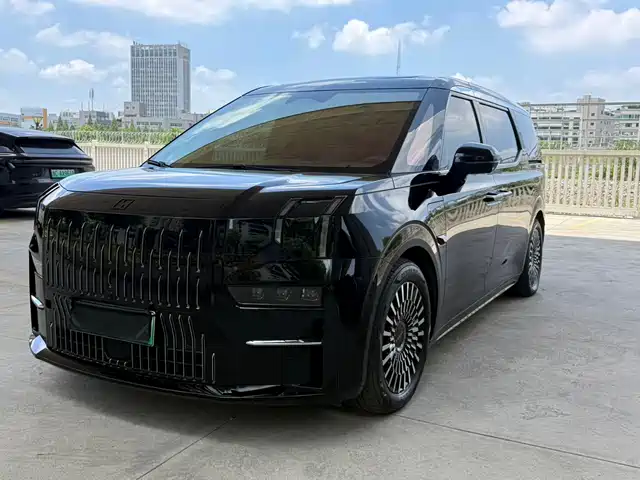 2024 Zeekr 009