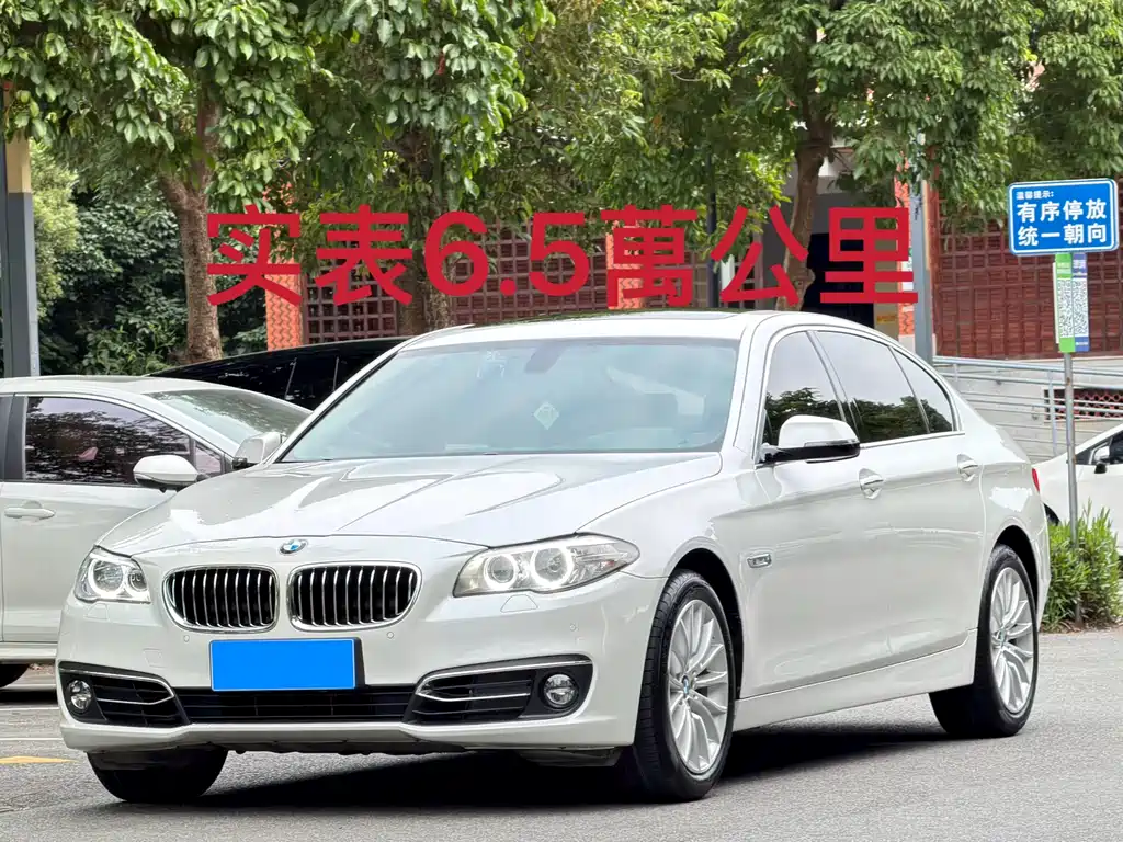 BMW 5 Series 2014
