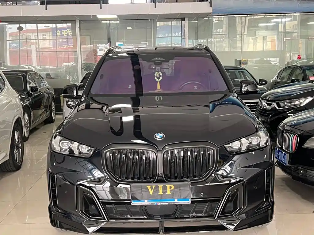 BMW X5 — миниатюра 2