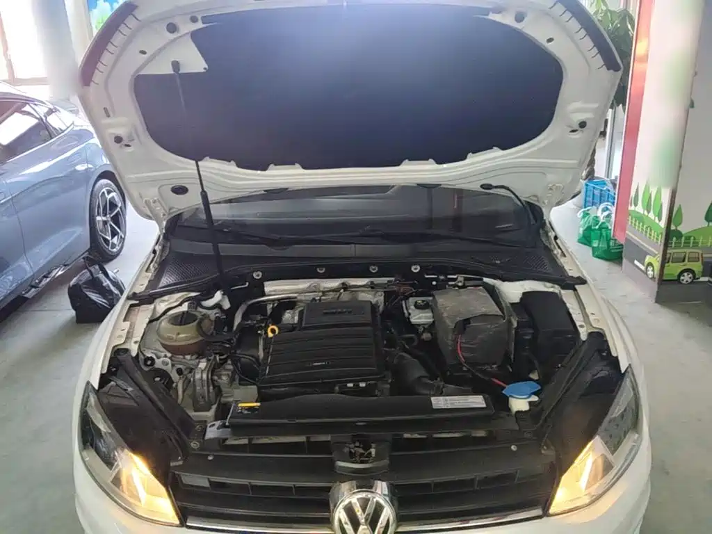 Volkswagen Golf — миниатюра 20