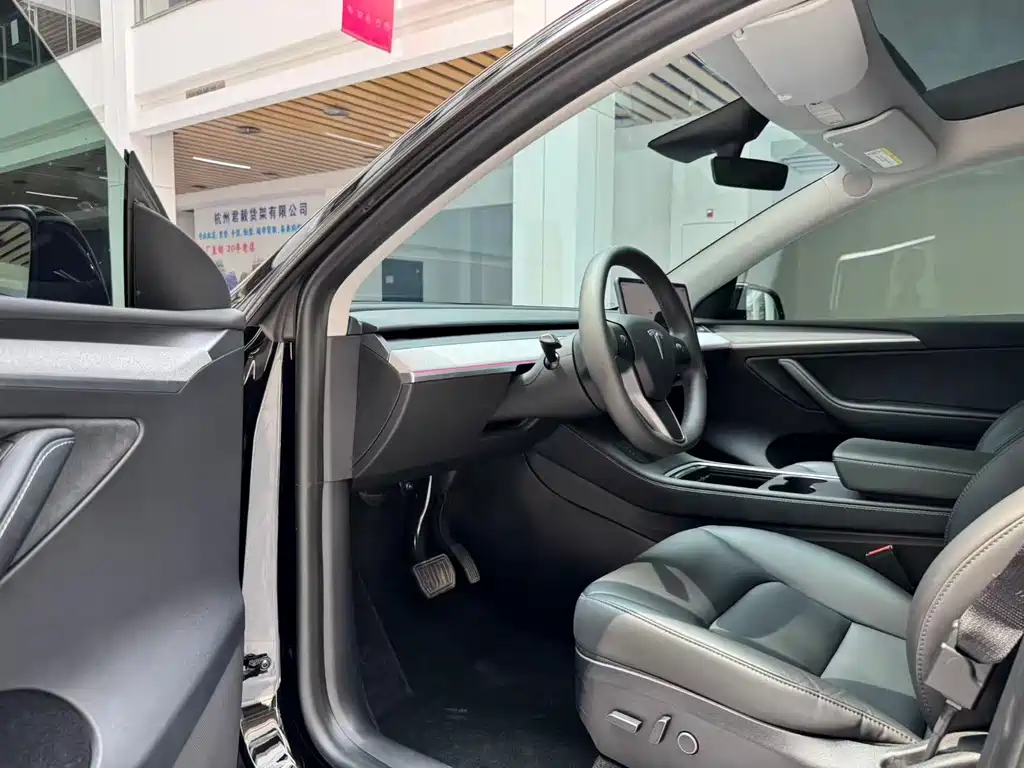 Tesla Model Y — миниатюра 9