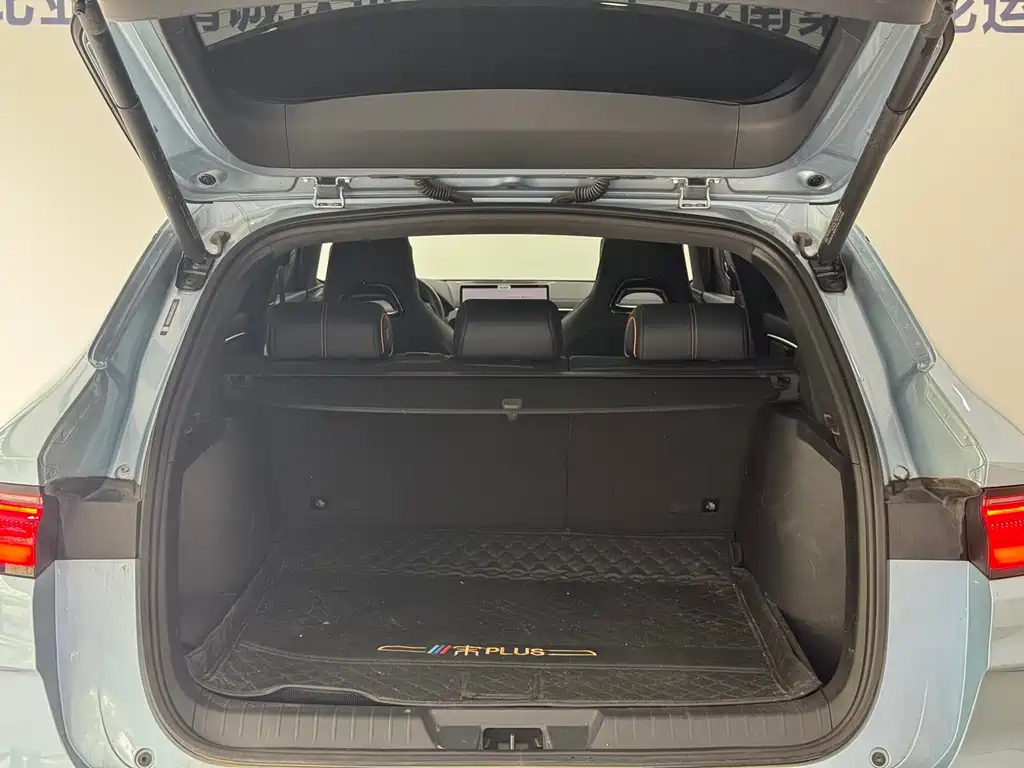 BYD PLUS New Energy — миниатюра 8