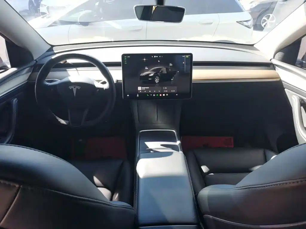 Tesla Model Y — миниатюра 10