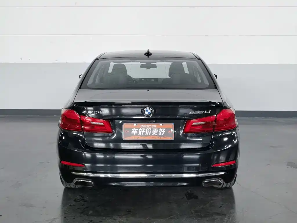BMW 5 Series — миниатюра 4