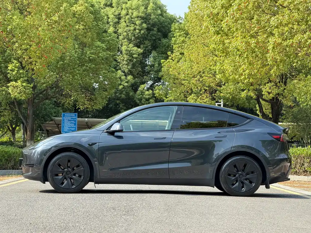 Tesla Model Y — миниатюра 5