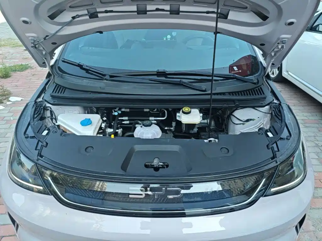 BYD Dolphin — миниатюра 20