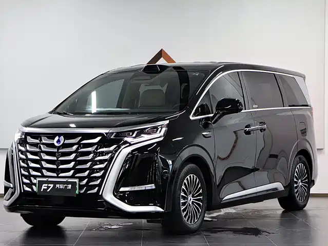2025 Denza D9