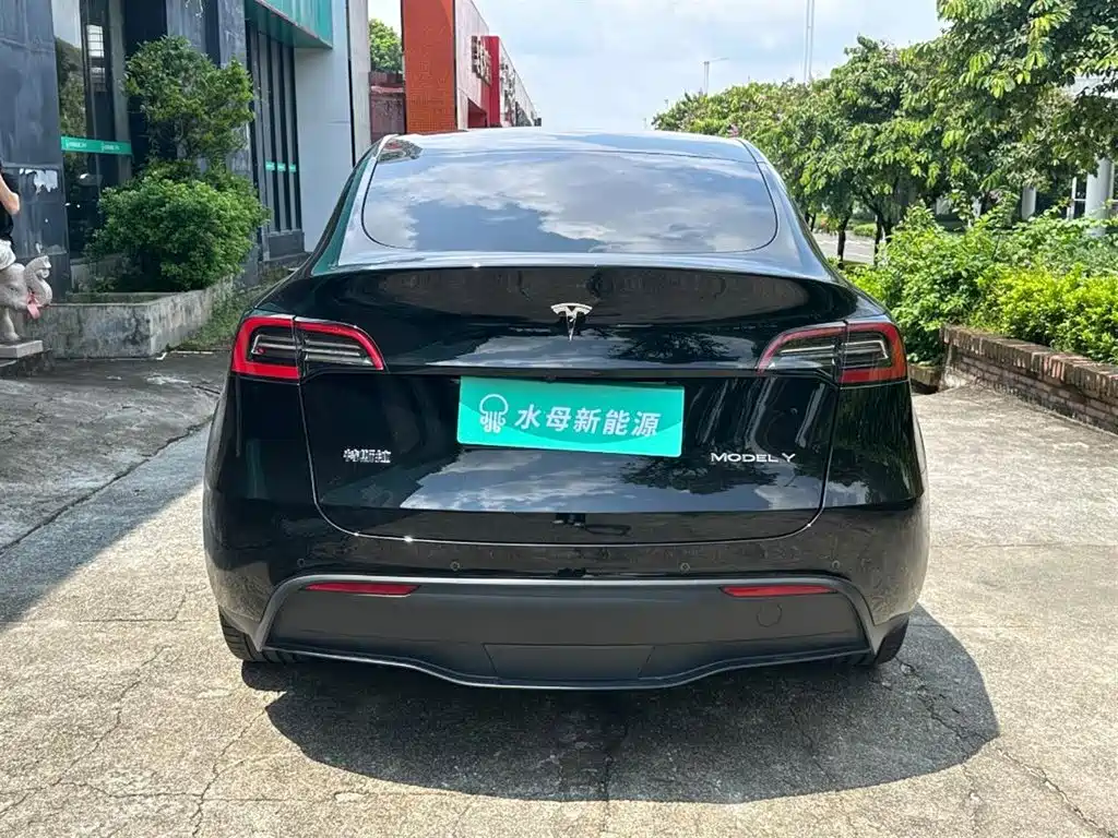 Tesla Model Y — миниатюра 7