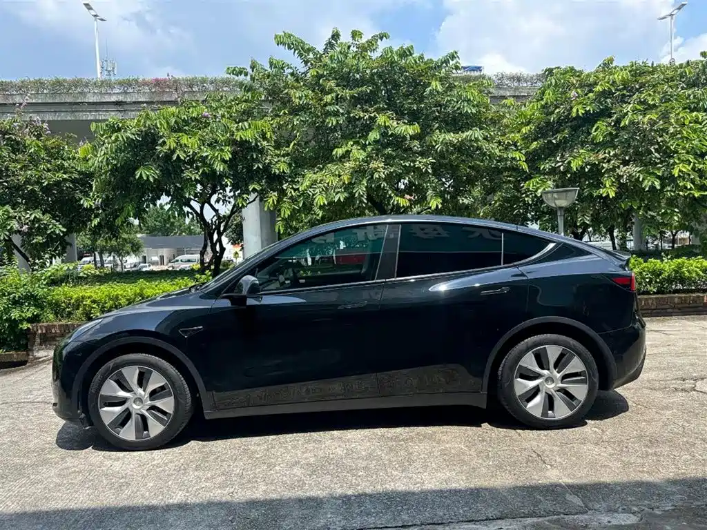 Tesla Model Y — миниатюра 9