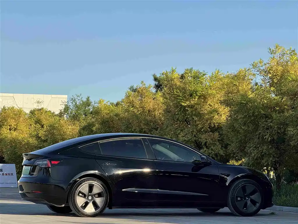 Tesla Model 3 — миниатюра 22