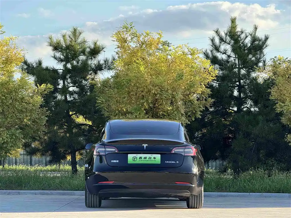 Tesla Model 3 — миниатюра 21