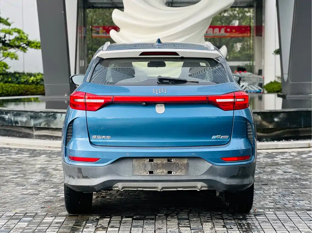 WM Motor EX5 — миниатюра 5