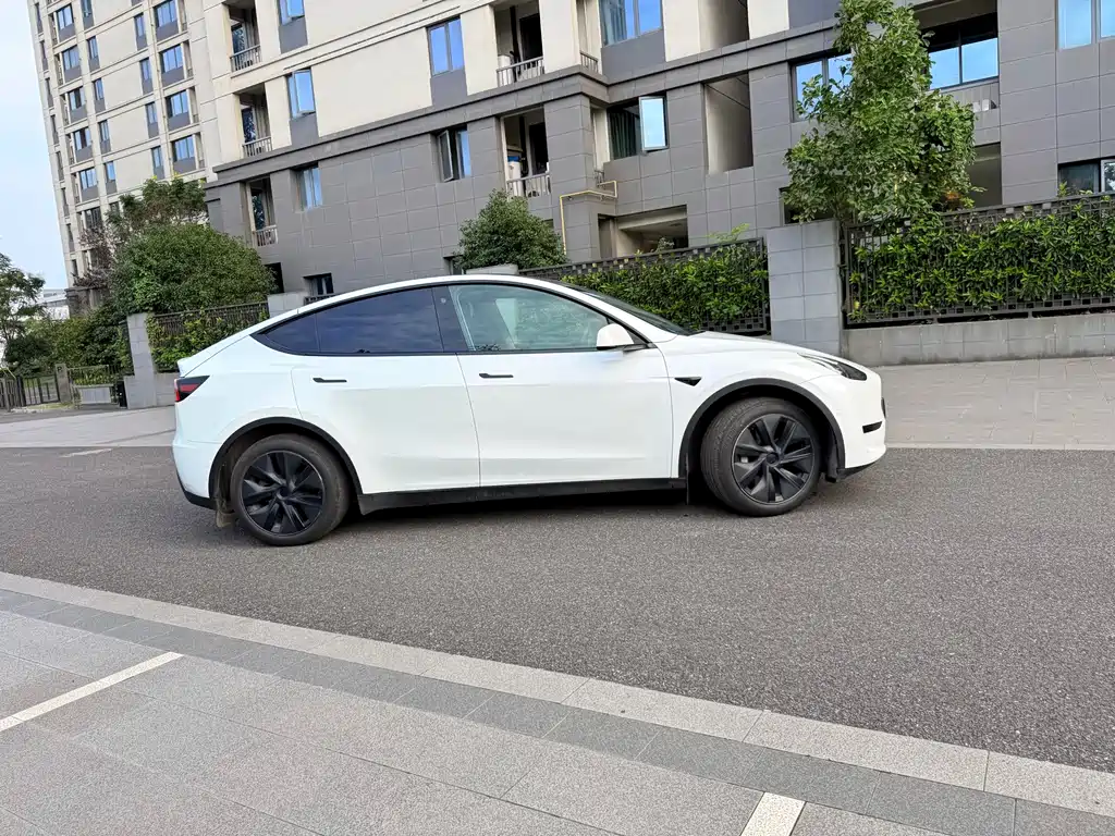 Tesla Model Y — миниатюра 3
