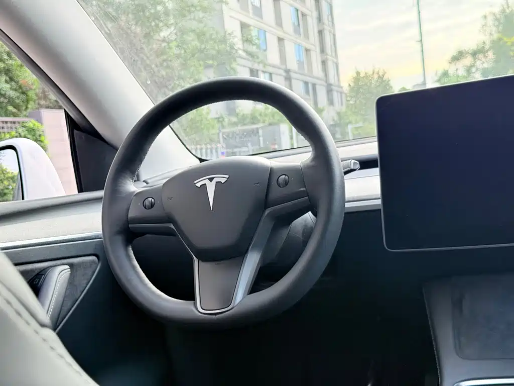 Tesla Model Y — миниатюра 10