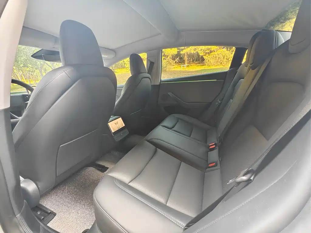 Tesla Model 3 — миниатюра 7