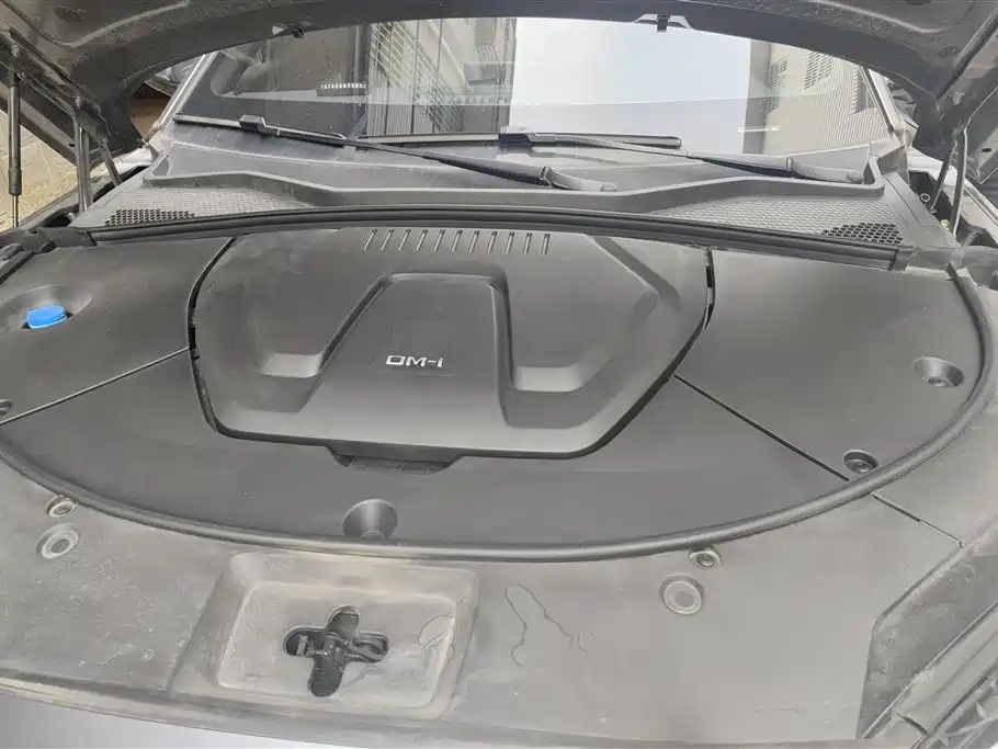 BYD SONGJIANG NEW ENERGY