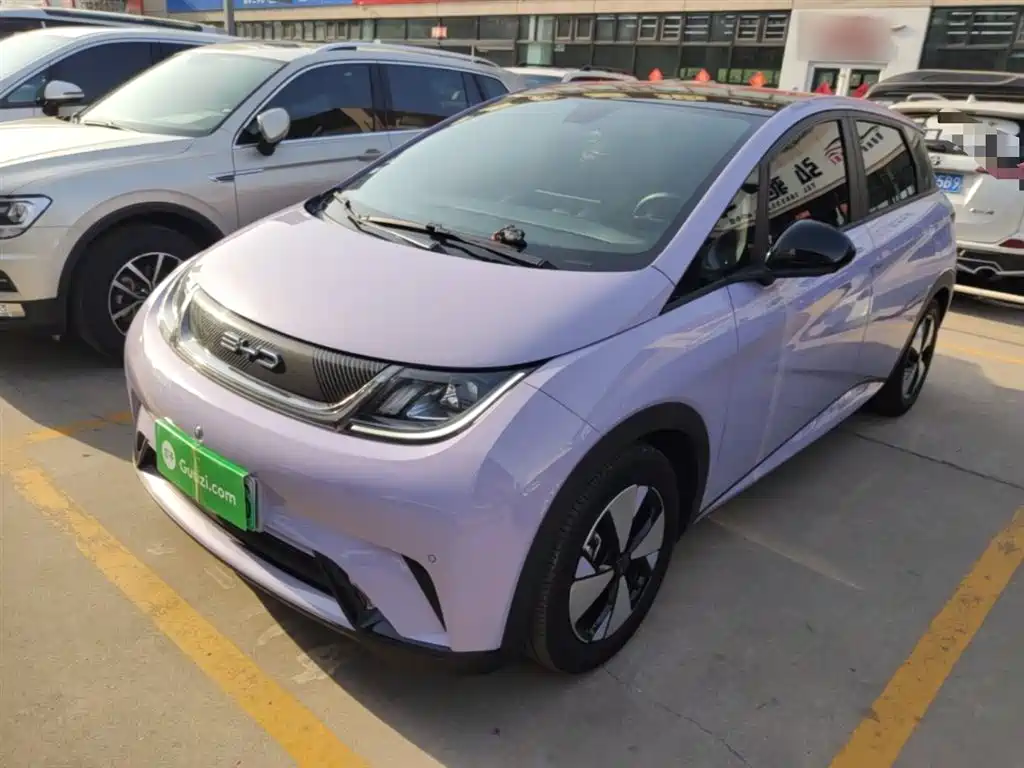 Byd Dolphin 2023