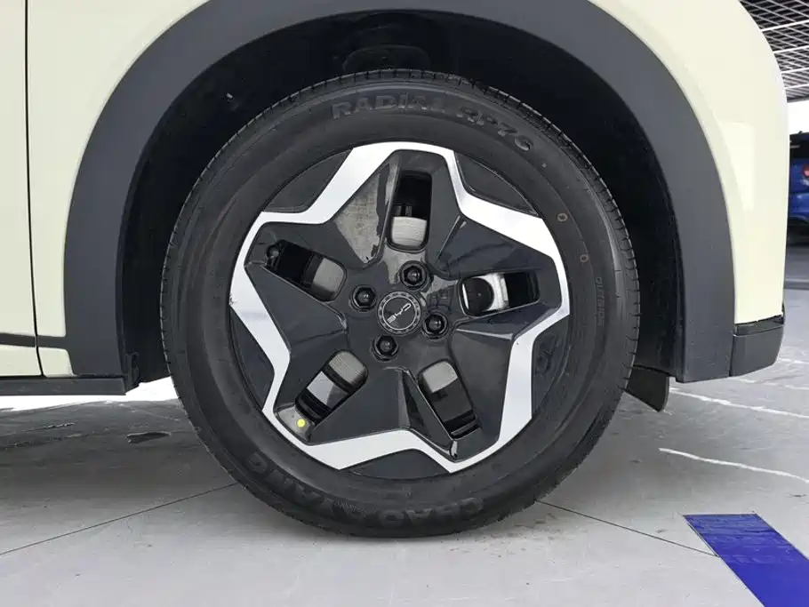BYD Dolphin — миниатюра 6
