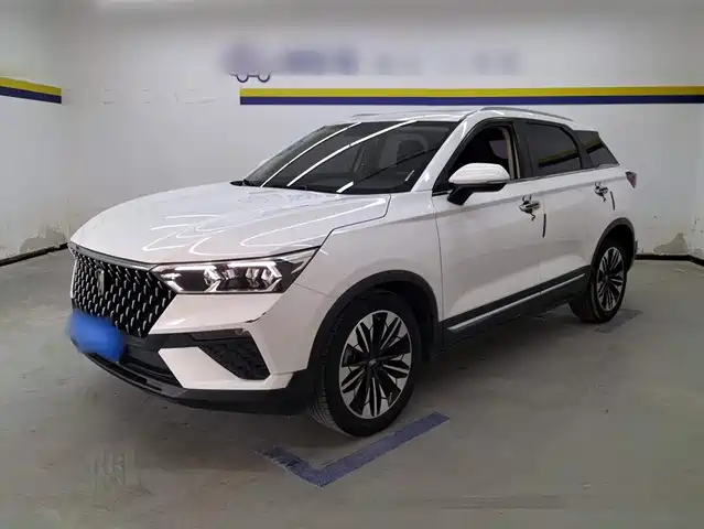 BESTUNE PENTIUM T77 2020