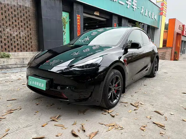 TESLA MODEL Y 2024