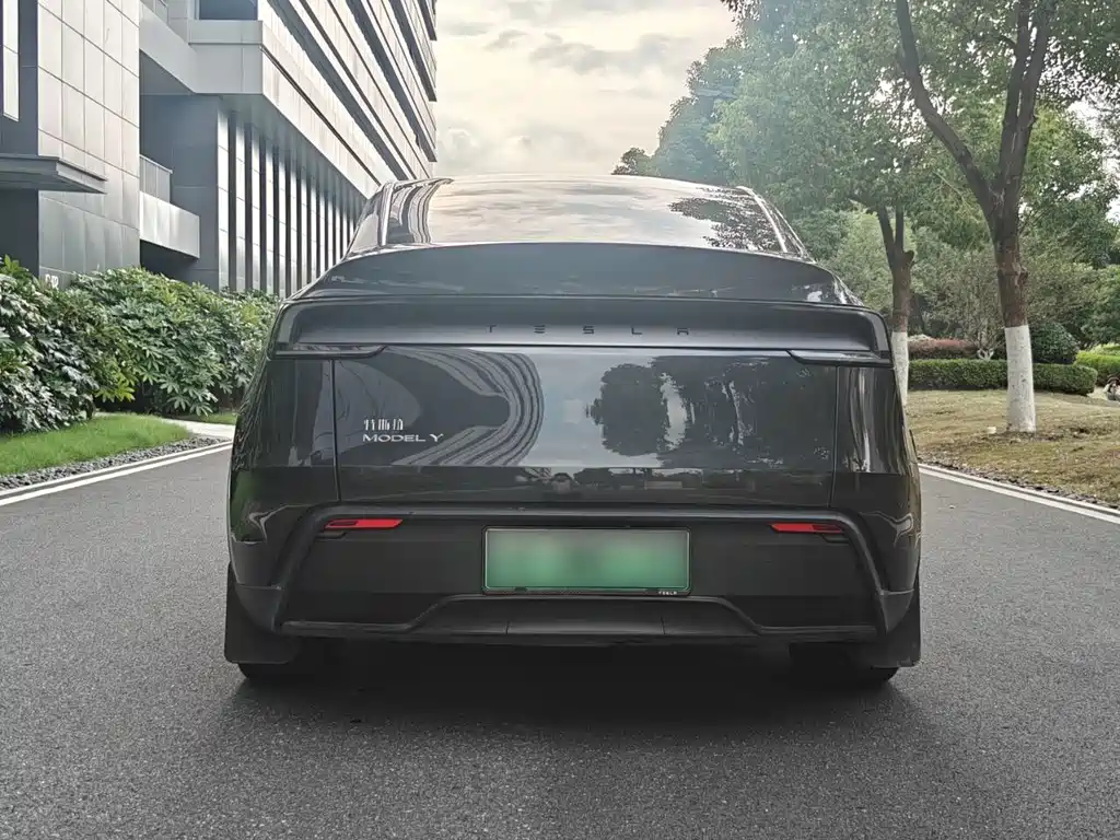Tesla Model Y — миниатюра 10