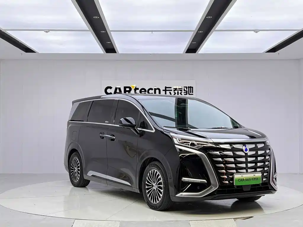 Denza Denza D9 — миниатюра 7
