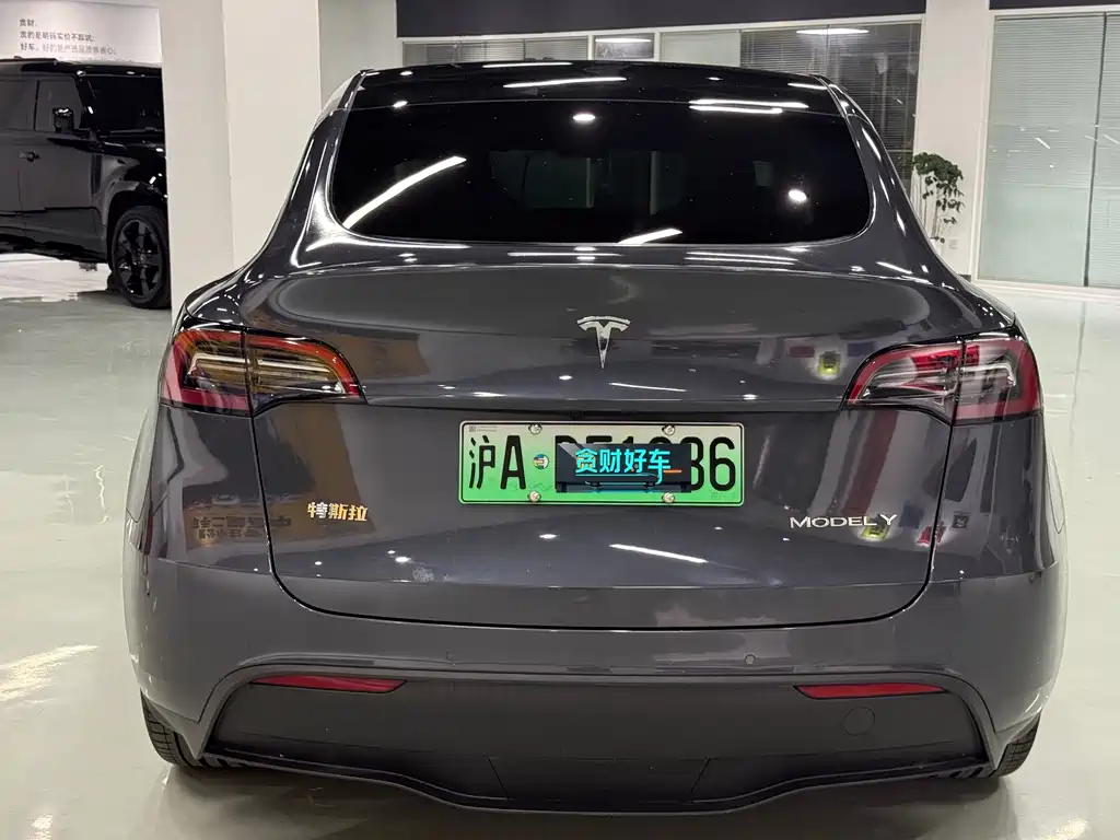 Tesla Model Y — миниатюра 7